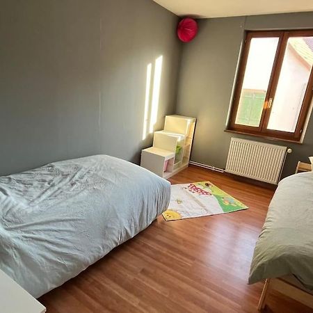 Grand Appartement A Barr Esterno foto